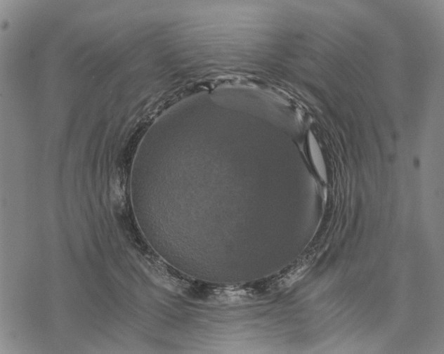 X0000076350607200610161800