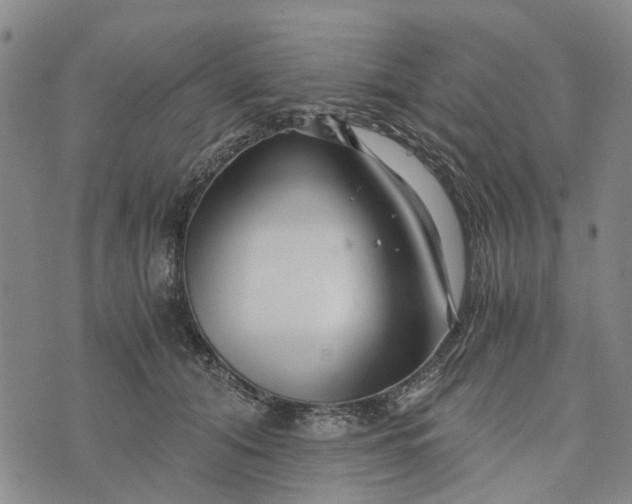 X0000076350608200610161800