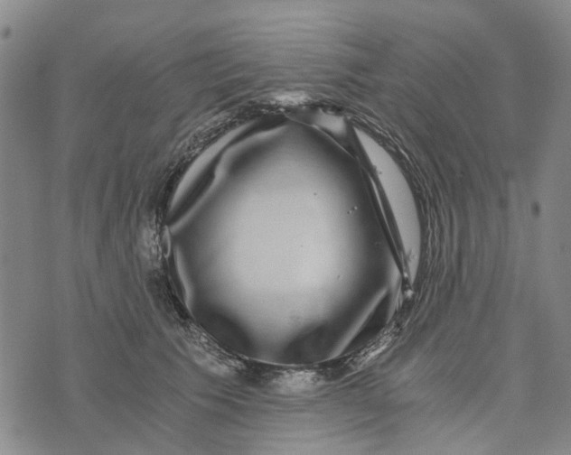 X0000076350609200610161800