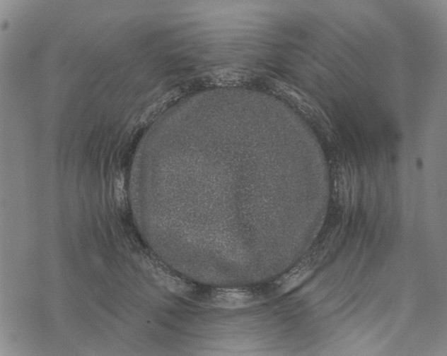 X0000076350610200610161800