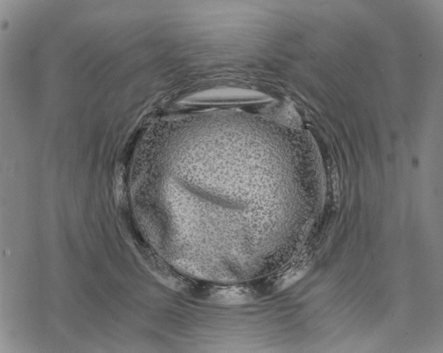 X0000076350611200610161800