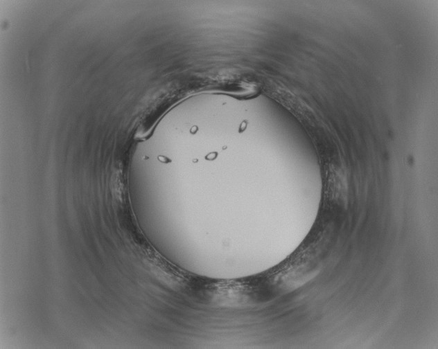 X0000076350612200610161800