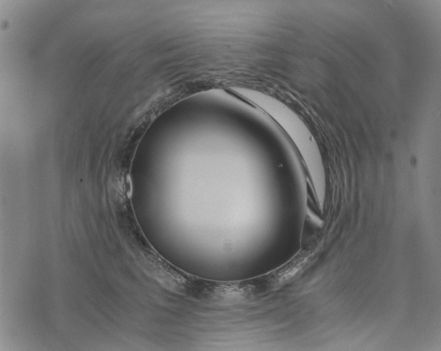 X0000076350613200610161800