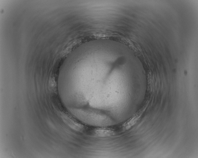 X0000076350614200610161800