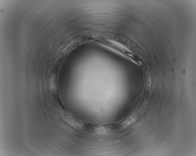 X0000076350616200610161800