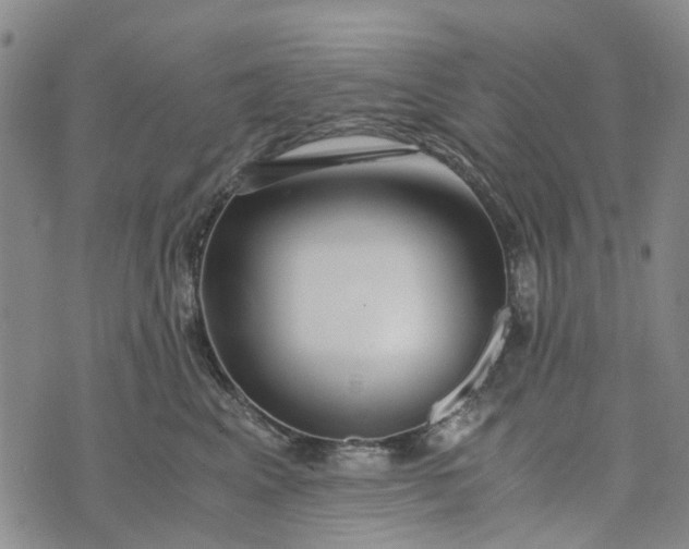 X0000076350617200610161800