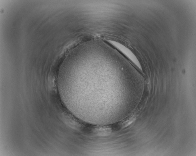 X0000076350619200610161800