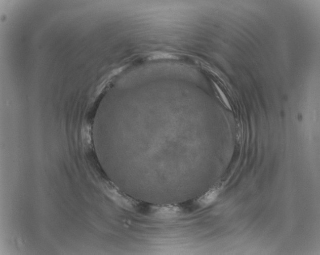 X0000076350621200610161800