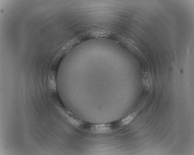 X0000076350622200610161800