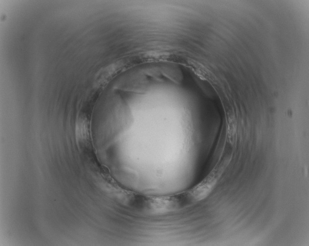 X0000076350623200610161800