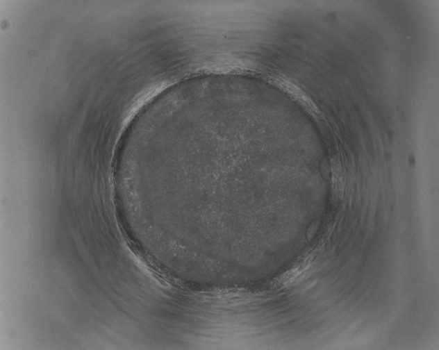 X0000076350626200610161759