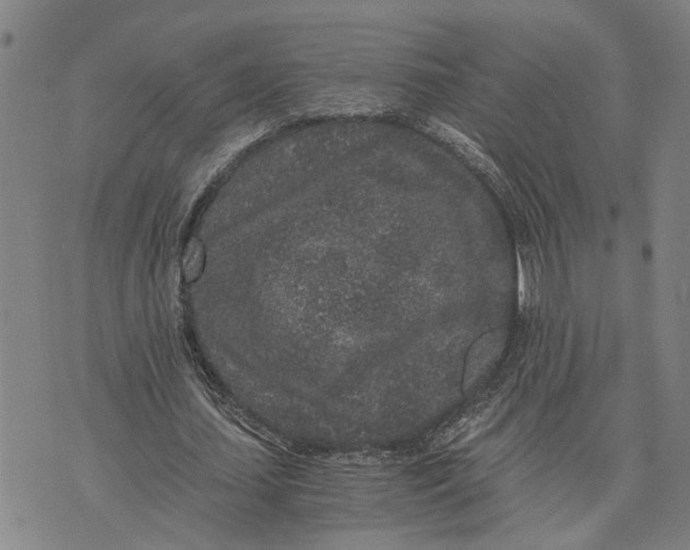 X0000076350627200610161759