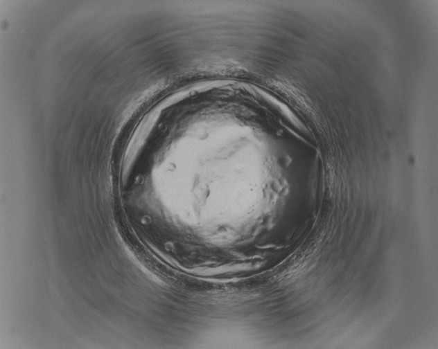 X0000076350630200610161759