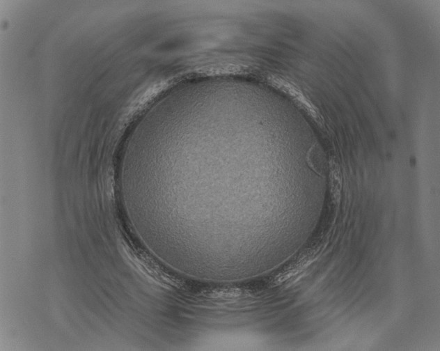 X0000076350631200610161759