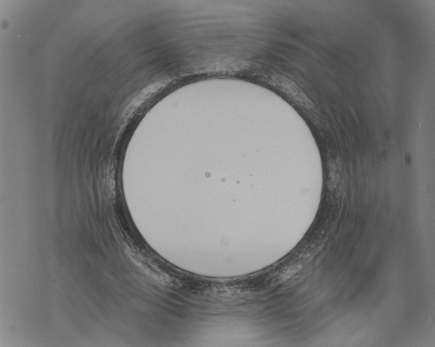 X0000076350632200610161759