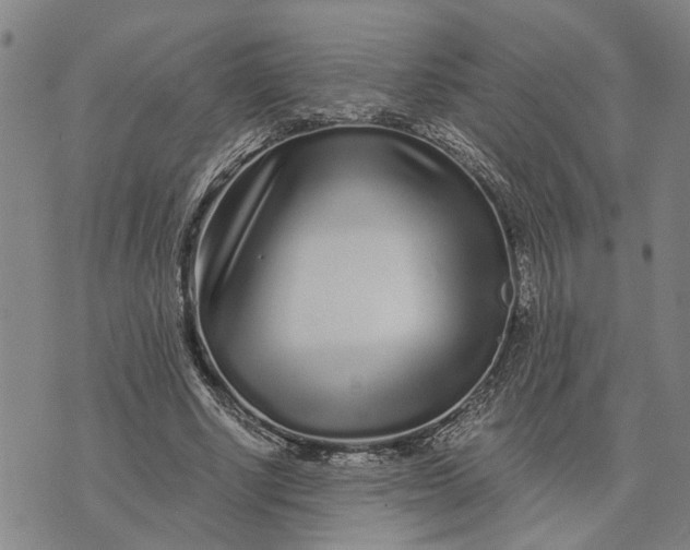 X0000076350634200610161800