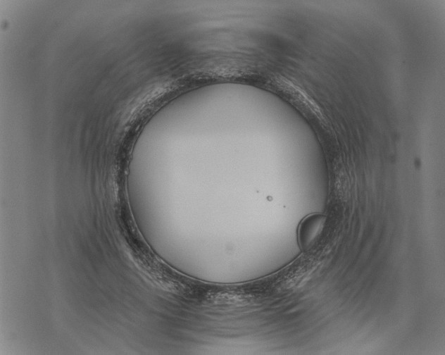 X0000076350635200610161800