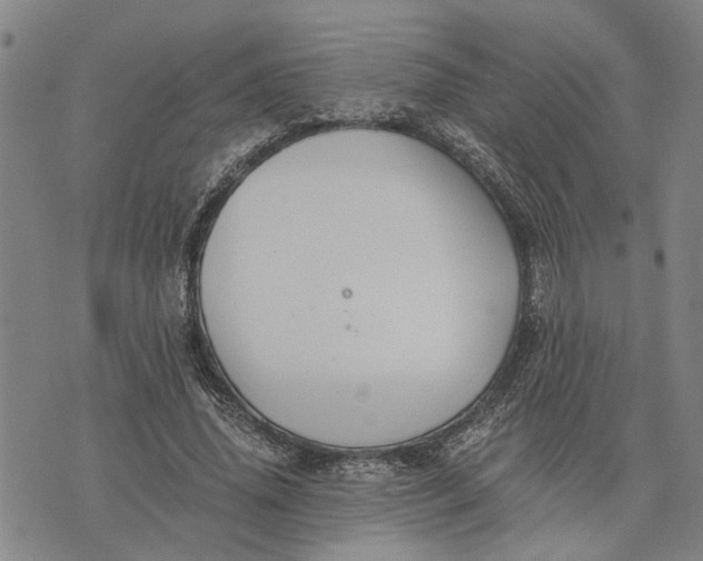 X0000076350636200610161800