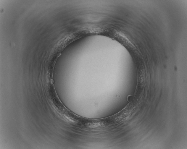 X0000076350639200610161800