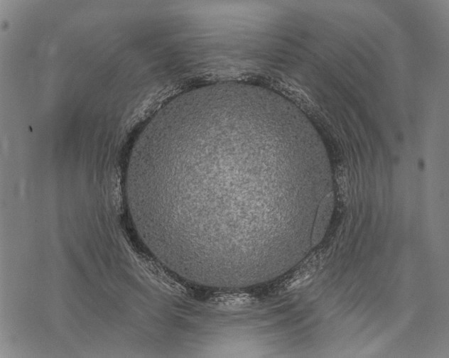 X0000076350642200610161800