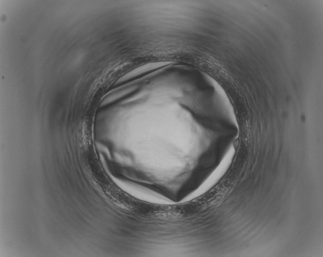 X0000076350644200610161800