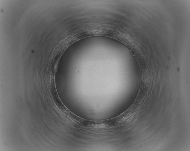 X0000076350645200610161800