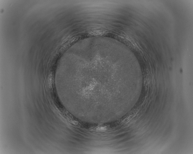 X0000076350647200610161800