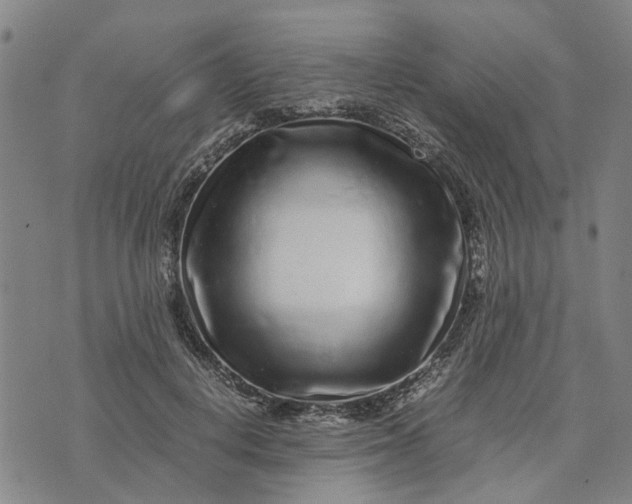 X0000076350648200610161800