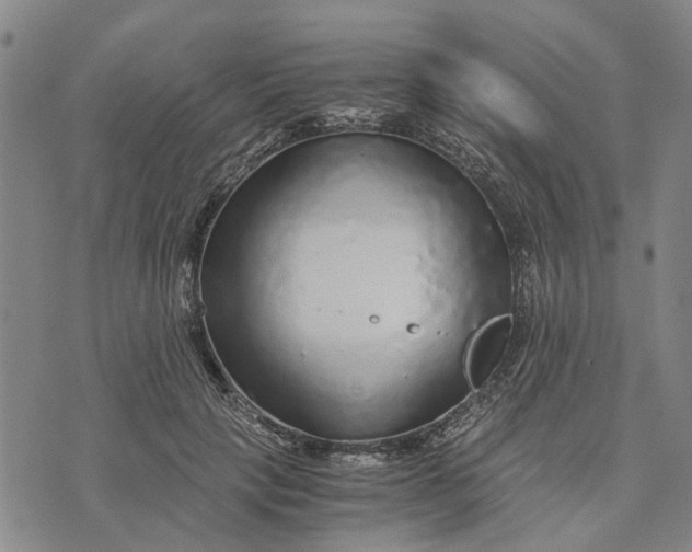 X0000076350649200610161800