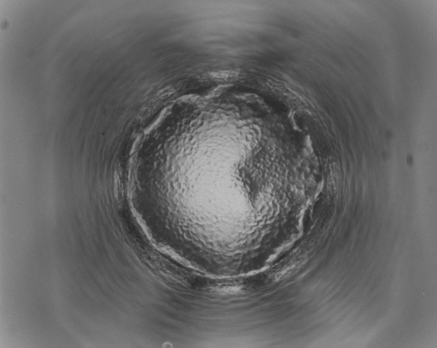 X0000076350651200610161800