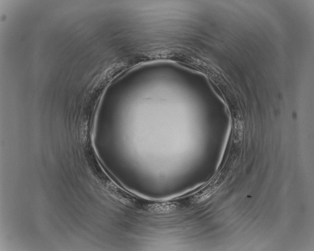 X0000076350652200610161800