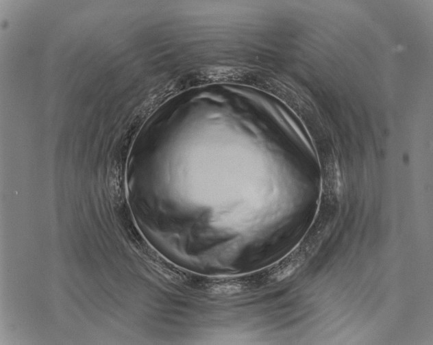 X0000076350653200610161800