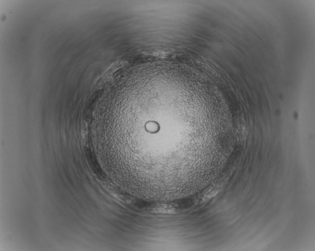 X0000076350656200610161800