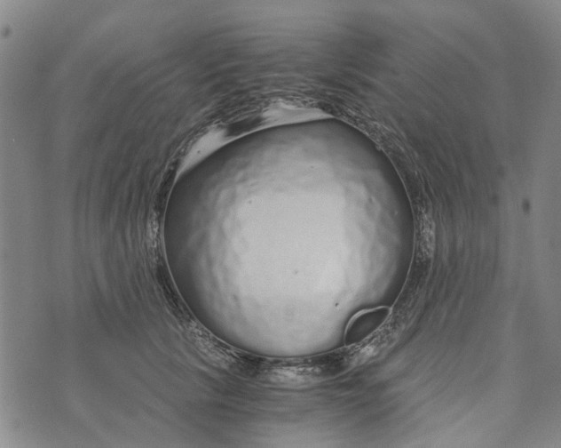 X0000076350657200610161800