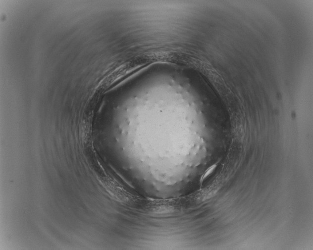 X0000076350658200610161800