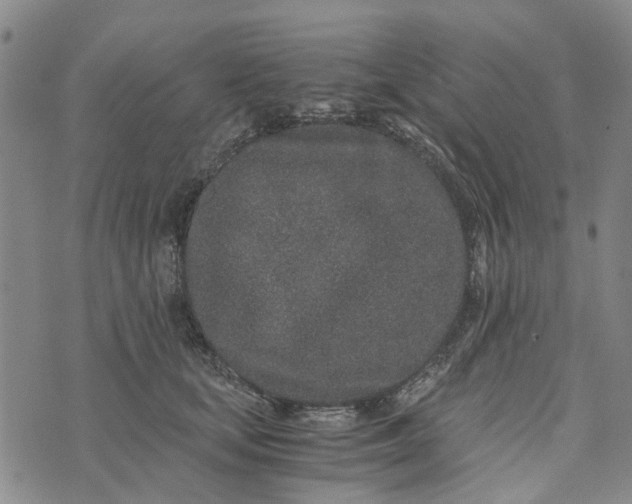 X0000076350659200610161800