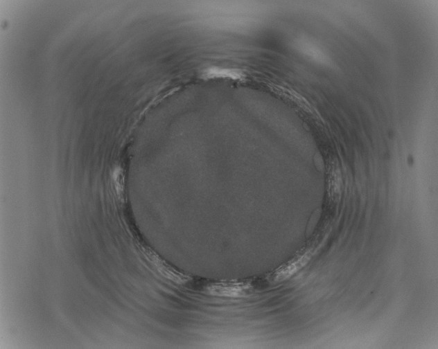 X0000076350661200610161800