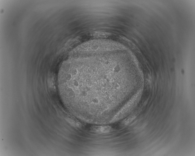 X0000076350663200610161800