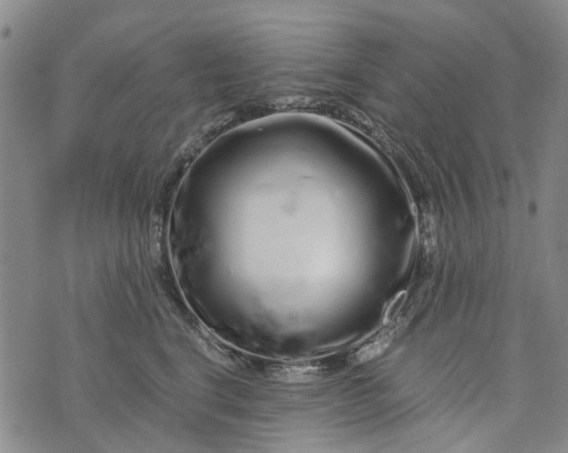 X0000076350664200610161800