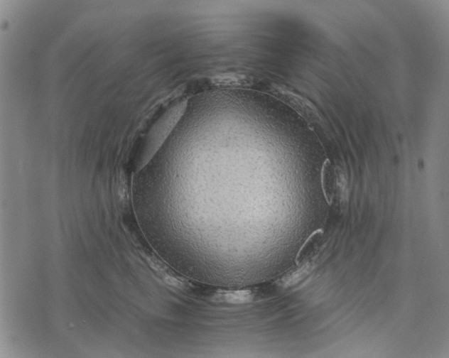 X0000076350665200610161800