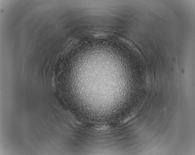 X0000076350667200610161800