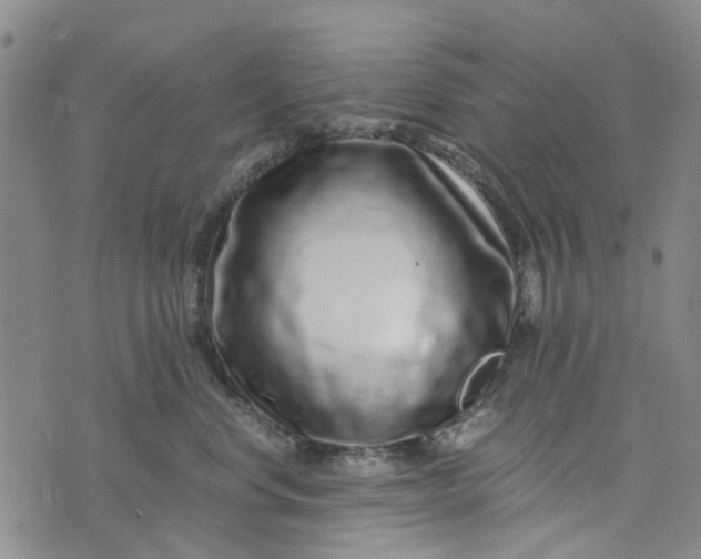 X0000076350668200610161800