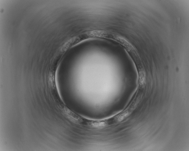 X0000076350669200610161800