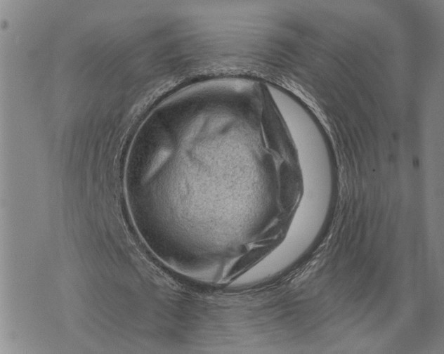 X0000076350673200610161759