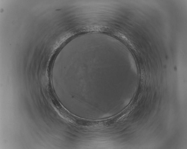 X0000076350674200610161759