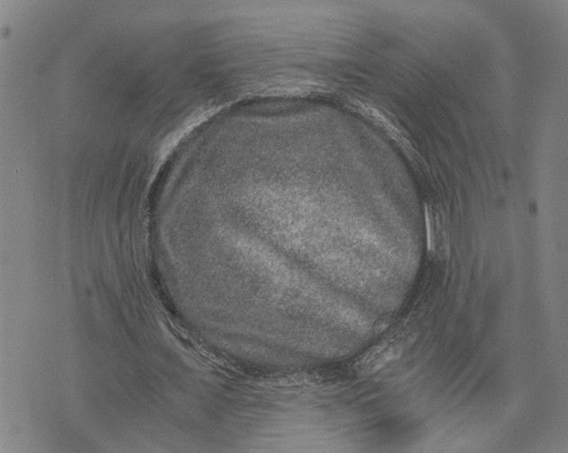 X0000076350675200610161759