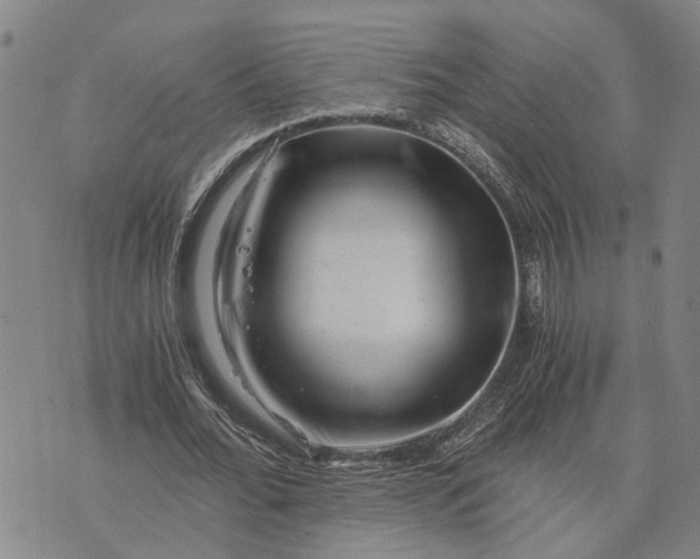 X0000076350676200610161759