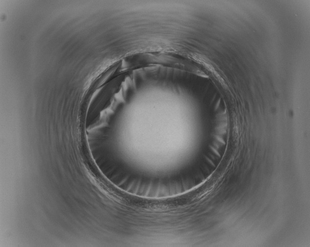 X0000076350677200610161759