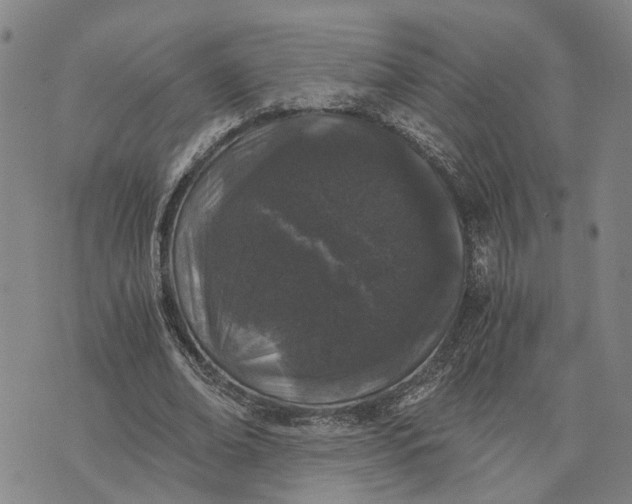 X0000076350678200610161759