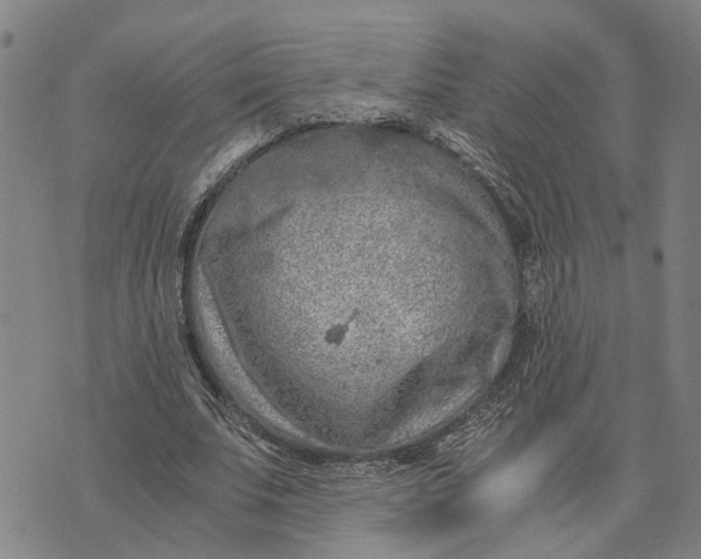 X0000076350679200610161759